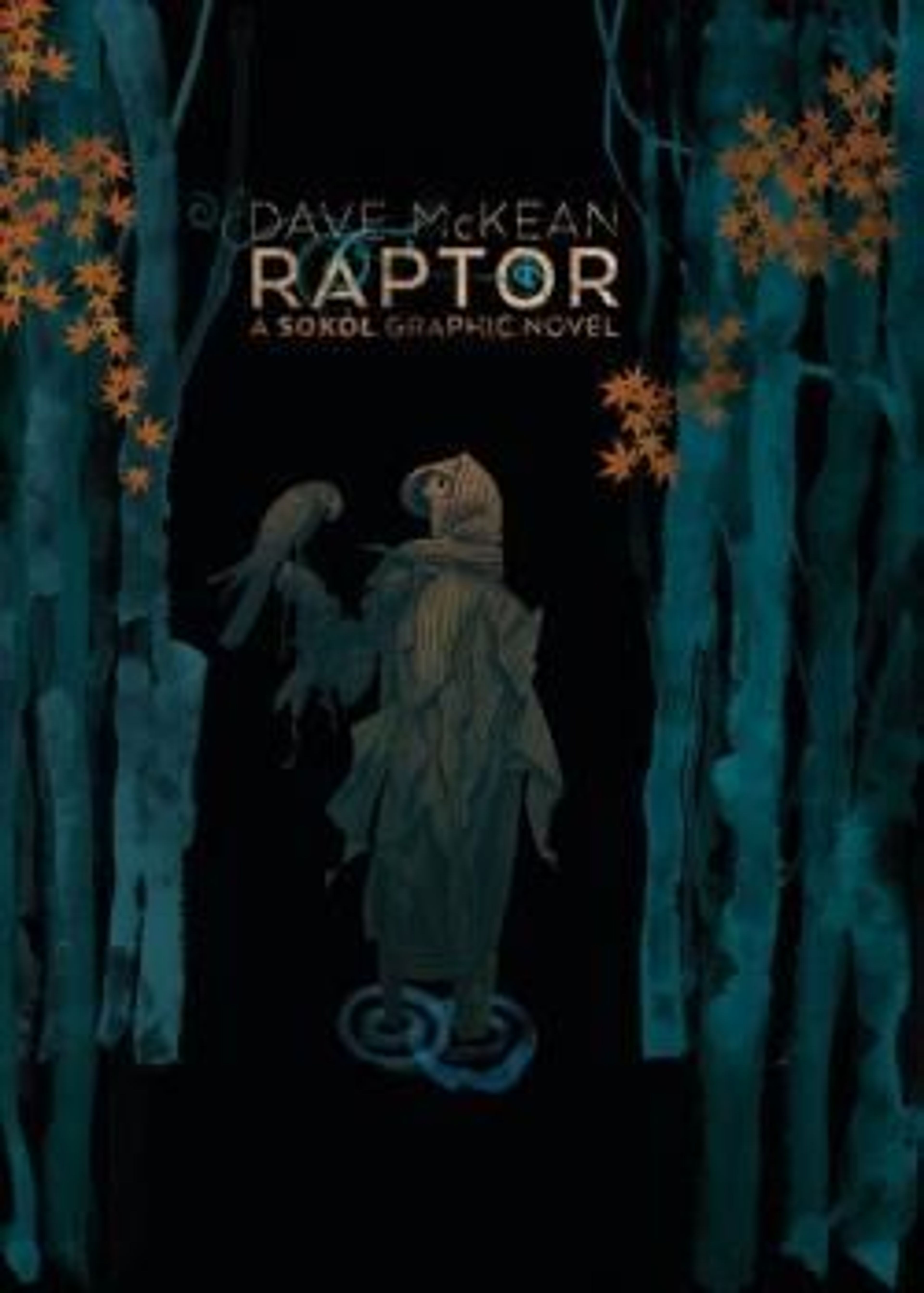 Raptor: A Sokol Graphic Novel (2021) poster