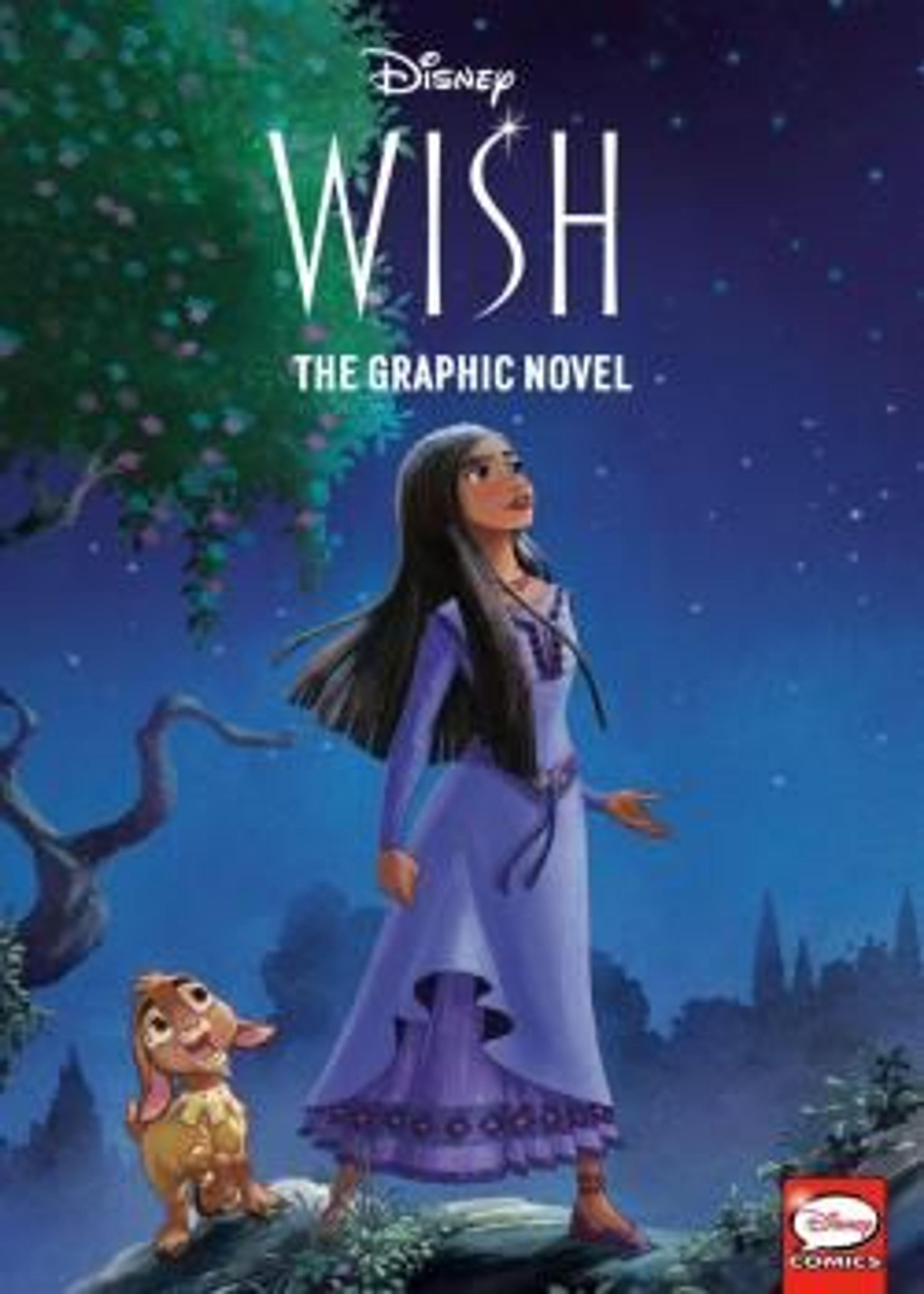 Disney Wish: The Graphic Novel (2024) poster