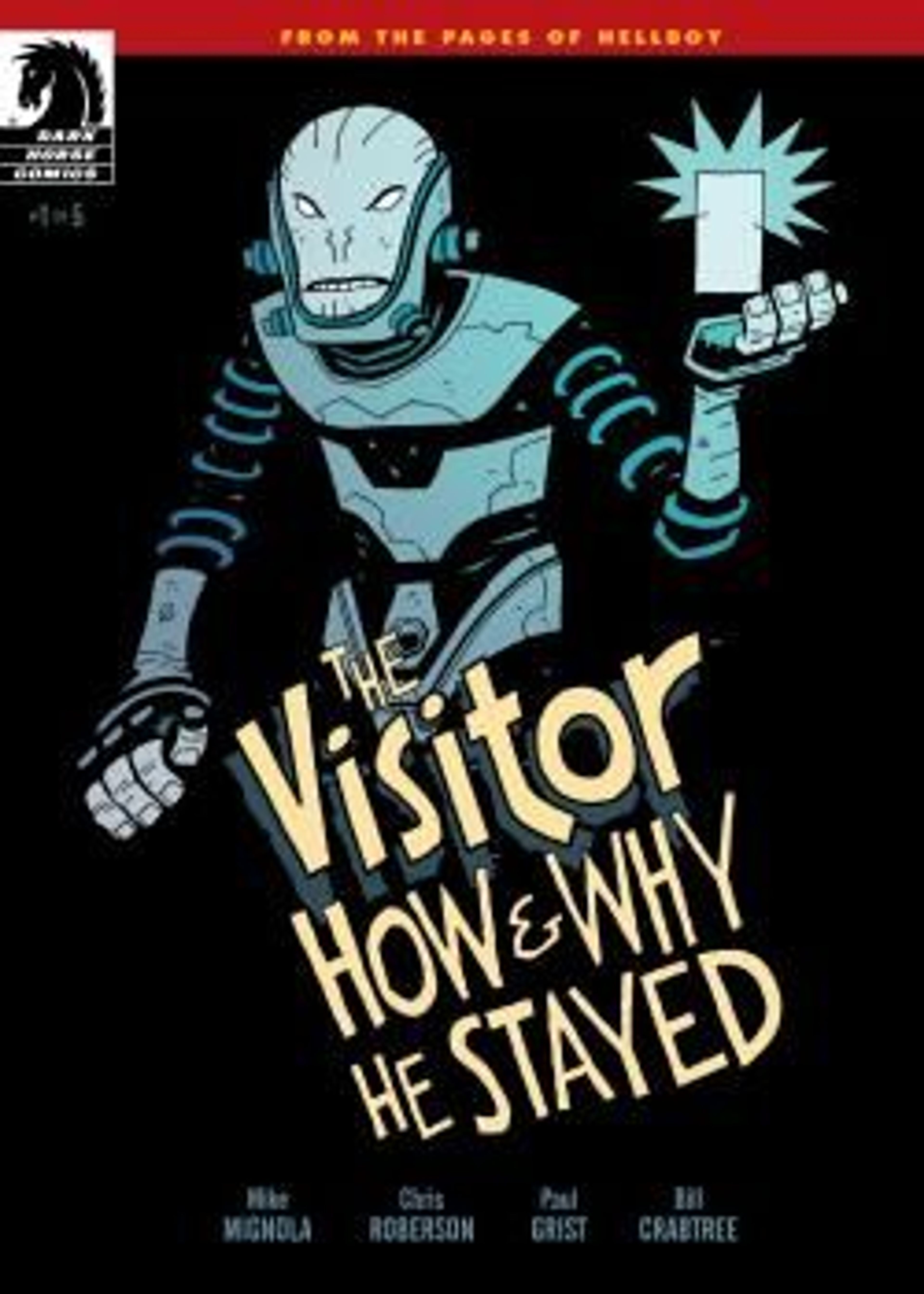 The Visitor: How and Why He Stayed poster