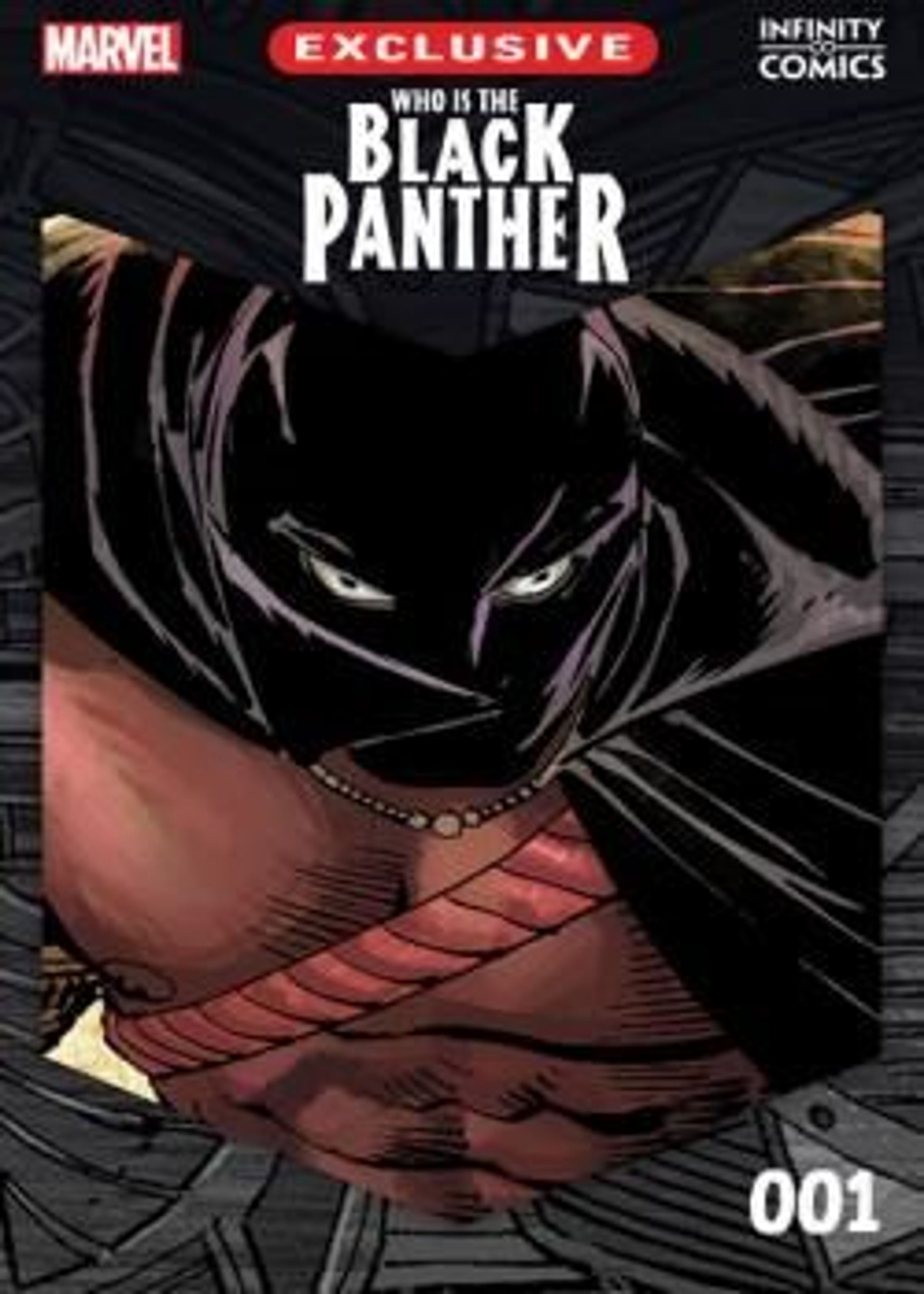 Who Is the Black Panther Infinity Comic (2022-) poster