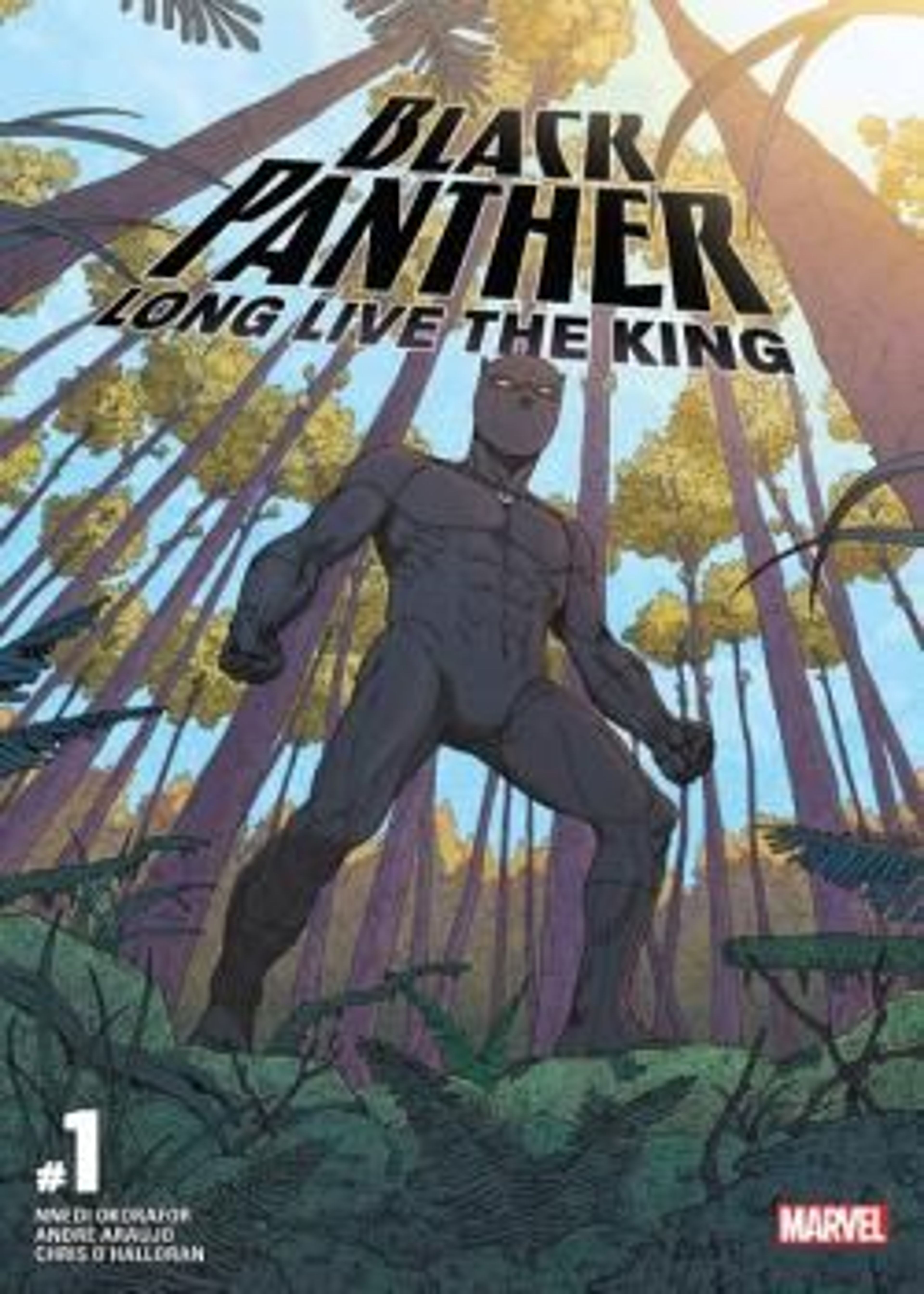 Black Panther: Long Live The King (2017-) poster